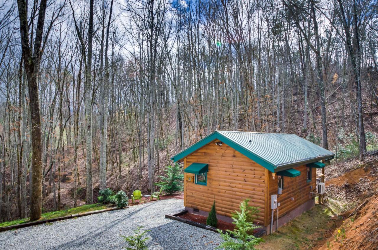 Superb Bryson City Studio Cabin With Hot Tub And Patio! Exterior photo